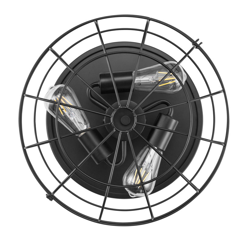 17 Stories Edgeley Matte Black Industrial Flush Mount Light with Cage